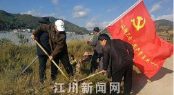 江城镇组织清理河道