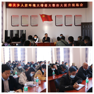 图片8
