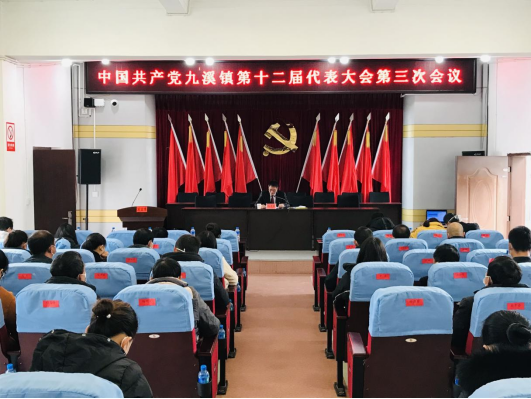 1.踔厉奋发 奋楫争先丨中国共产党九溪镇第十二届代表大会第三次会议胜利召开185