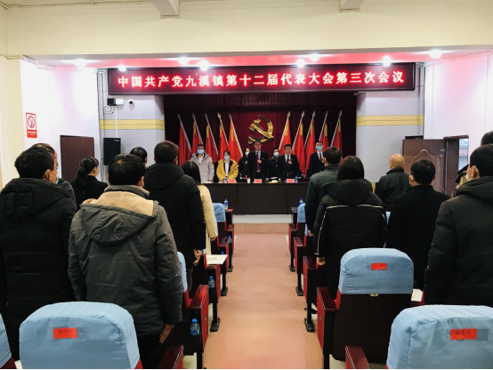 1.踔厉奋发 奋楫争先丨中国共产党九溪镇第十二届代表大会第三次会议胜利召开1883