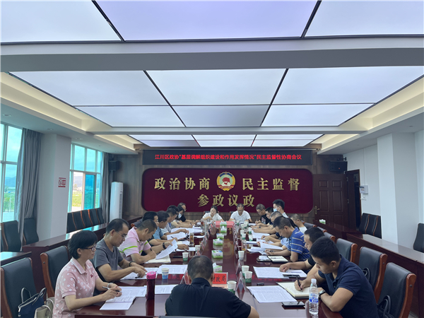 民主监督性协商会议1