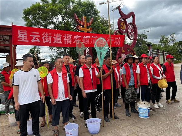 清理打捞福寿螺成螺6313公斤1