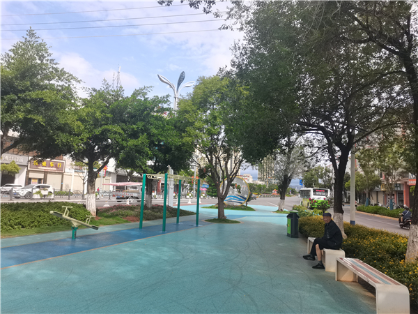 打造绿美公园 改善城市环境2