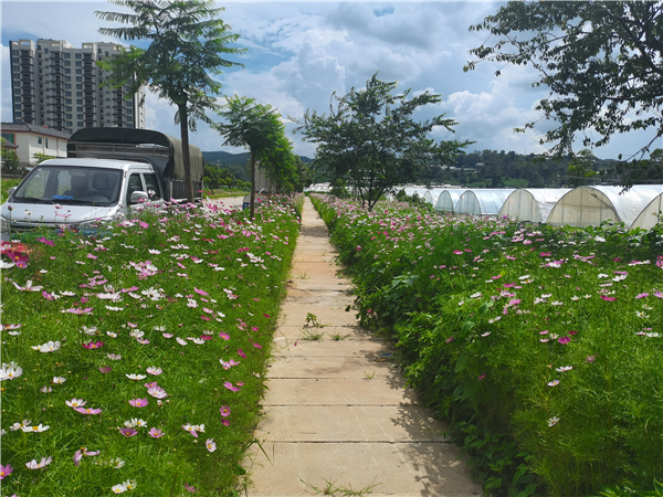 打造美丽宜居家园1